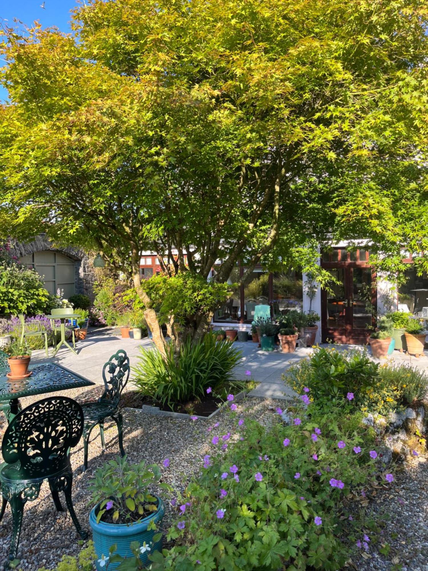 Wild Honey Inn Lisdoonvarna Exterior foto